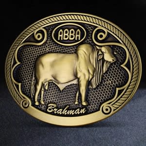 Custom Belt Buckles (2"x3" Oval)
