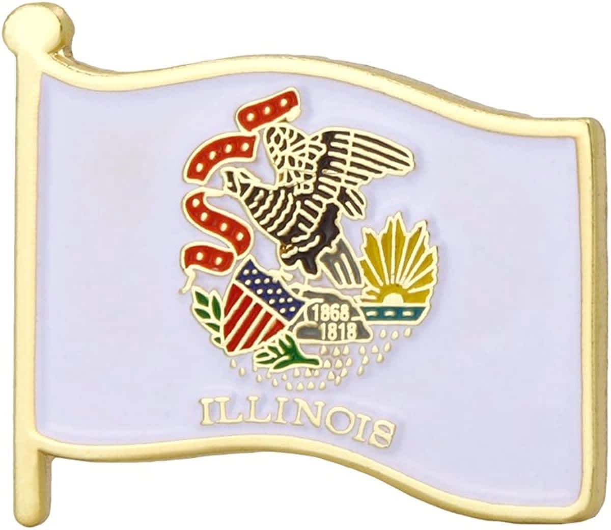 Stock States Flag Pin