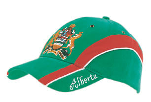 Brushed Heavy Cotton Cap with Embroidered Peak Insert
