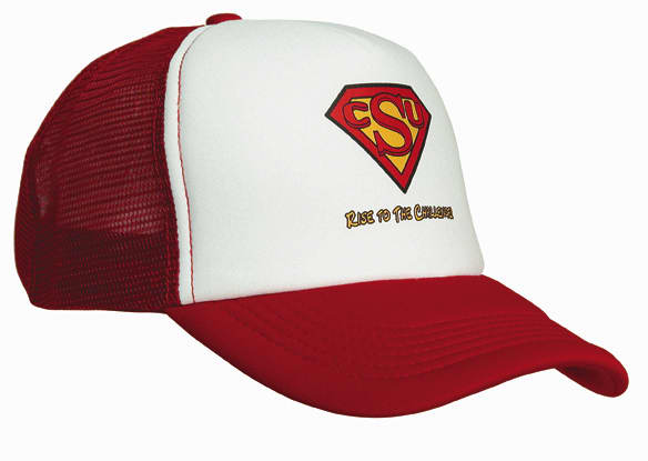 Truckers Mesh Cap H3803