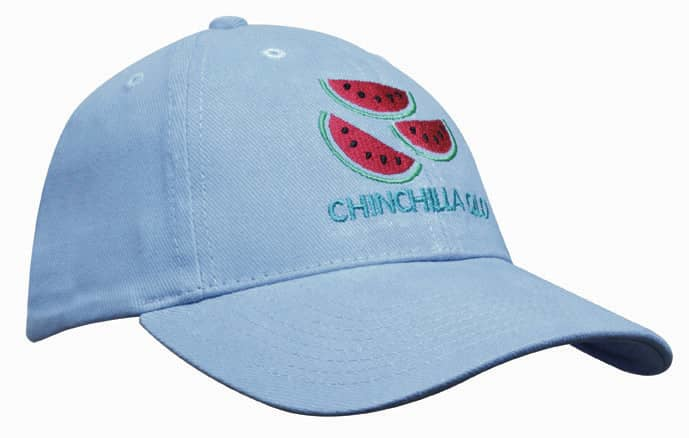 Brushed Heavy Cotton Youth Size HE-4040 A light blue cap featuring an embroidered design of watermelon slices and a logo.