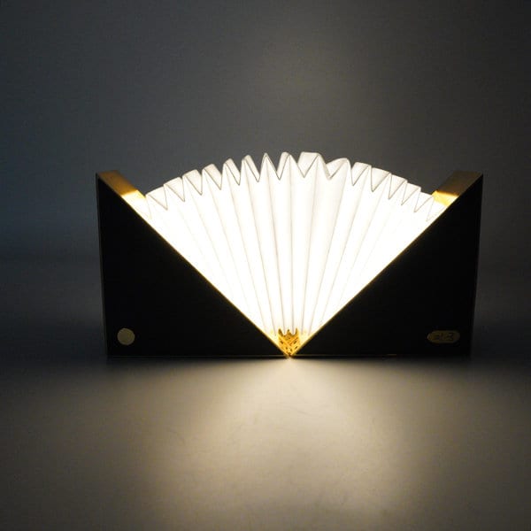 Folding Book Light