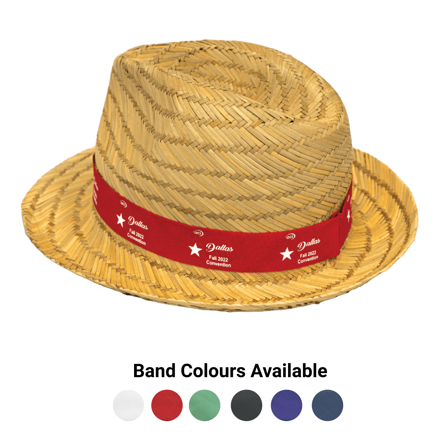 Straw Fedora - PS9500 Image