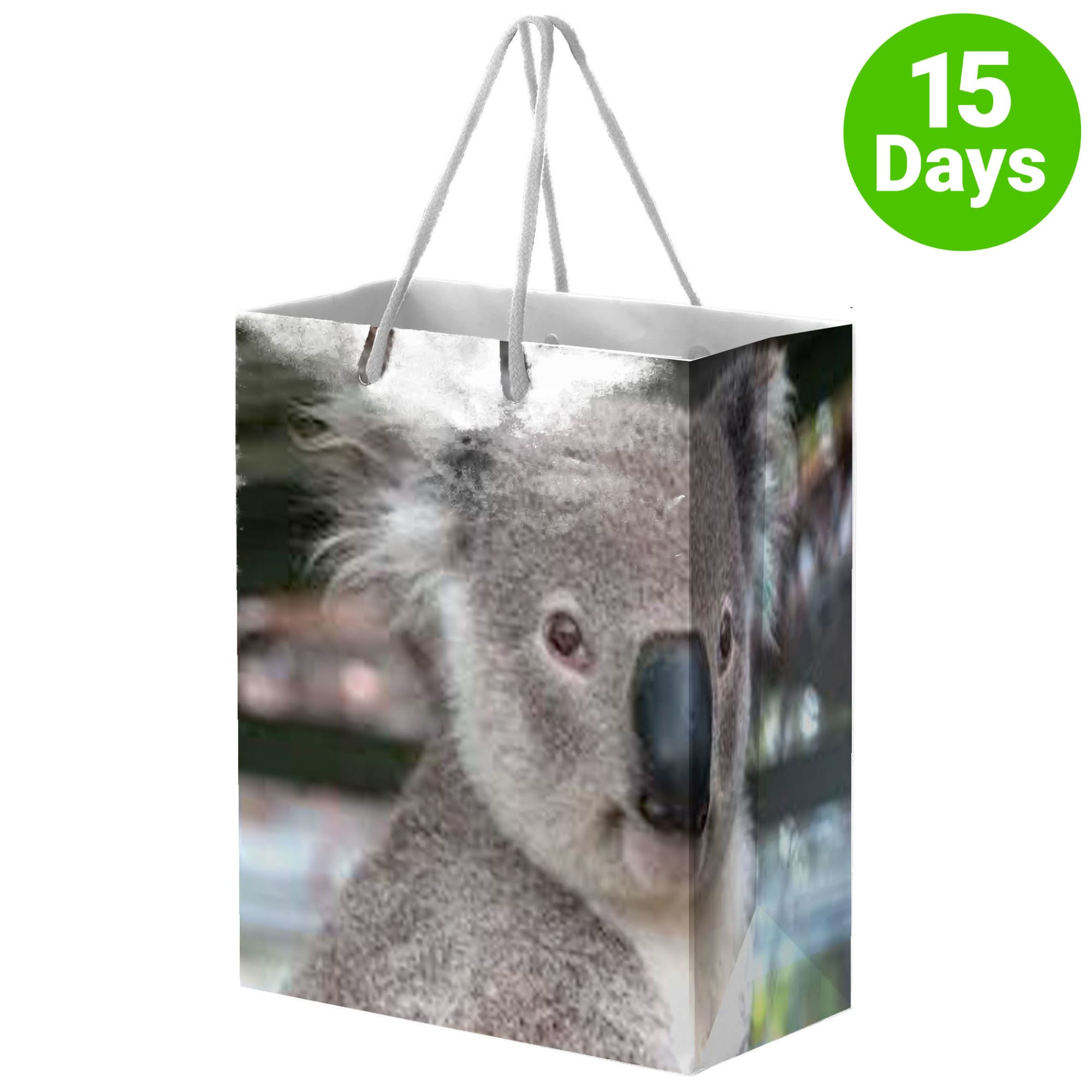 Full Colour Gloss Laminated Bag Large With Rope Handle - PS4862 Image 