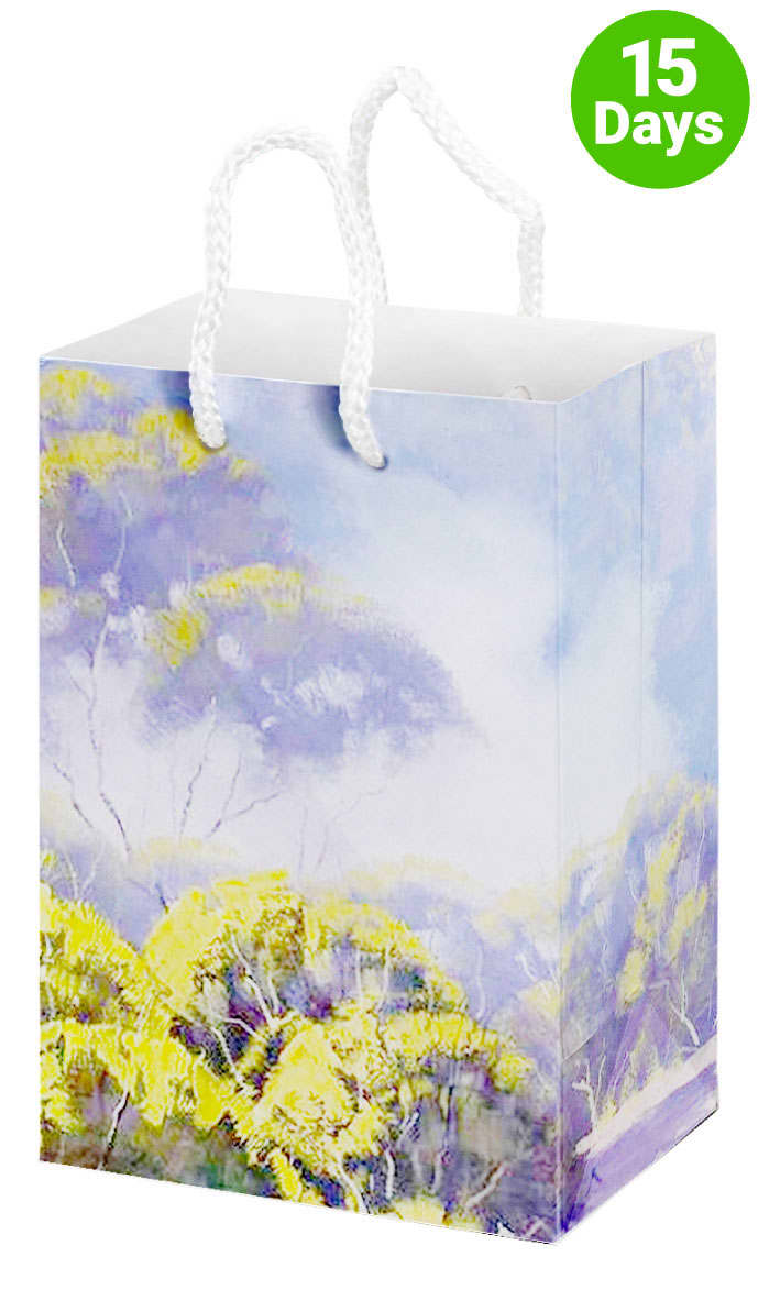Full Colour Gloss Small Laminated Bag Portrait With Rope Handle - PS4860 Image 
