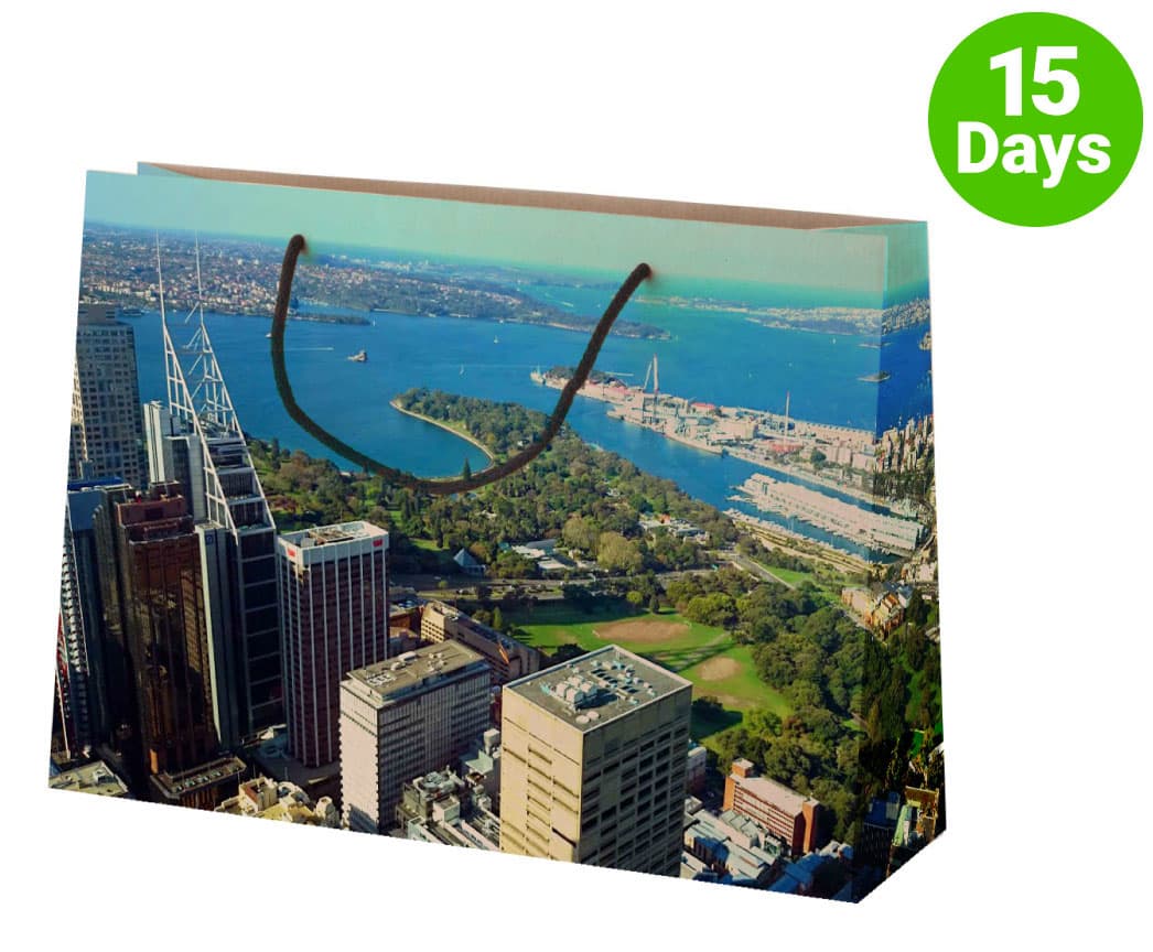 Full Colour Paper Bag Landscape - PS4870 Image 