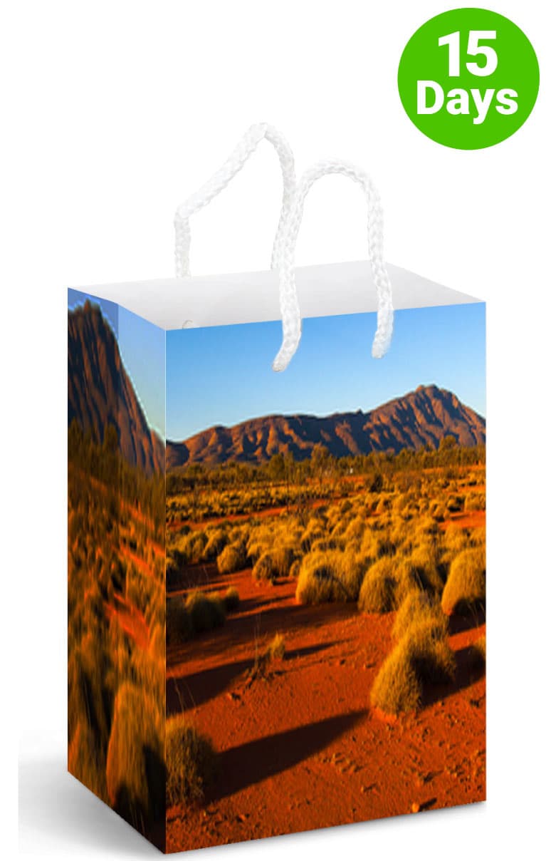 Full Colour Paper Bag Medium - PS4867 Image 
