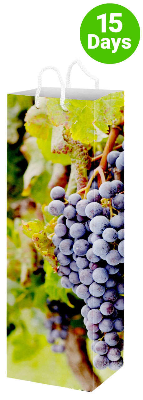 Full Colour Wine Bottle Paper Bag - PS4865 Image 