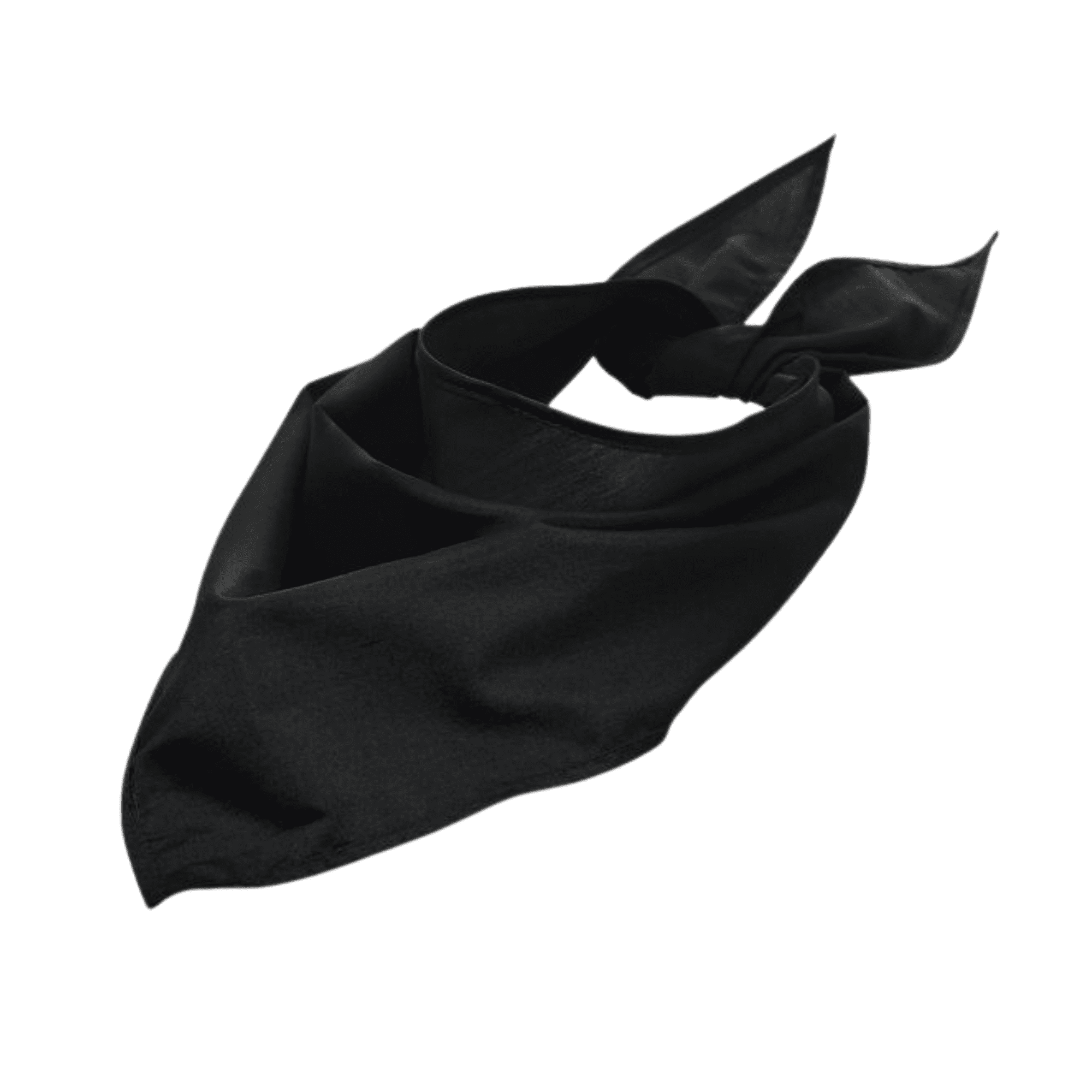 Alternative view of Twistal Triangular Bandana