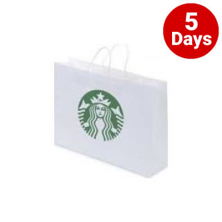 Kraft Paper Bag White Landscape Includes Twisted Paper Handle - PS4602 Image 