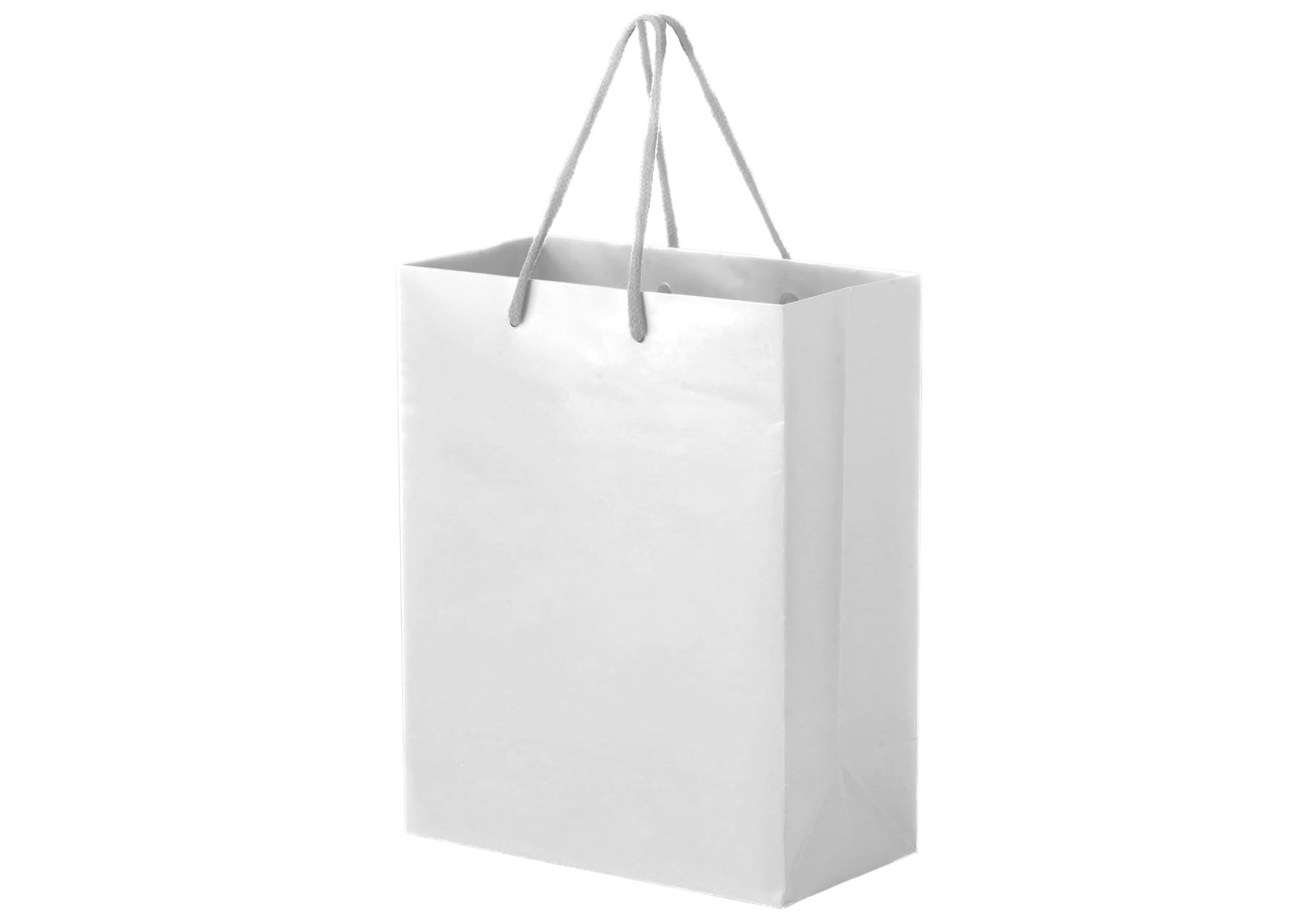 Full Colour Gloss Laminated Bag Large With Rope Handle - PS4862 Image 