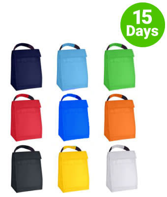 Budget Cooler Bag With Grip