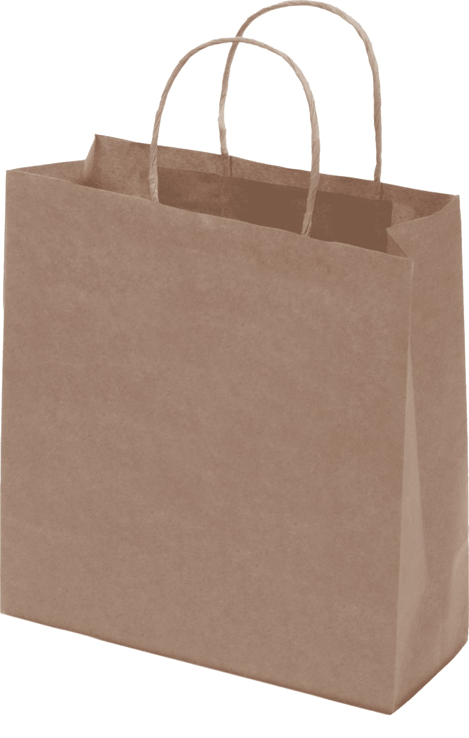 Kraft Paper Bag Brown Medium Includes Twisted Paper Handle - PS4601 Image 