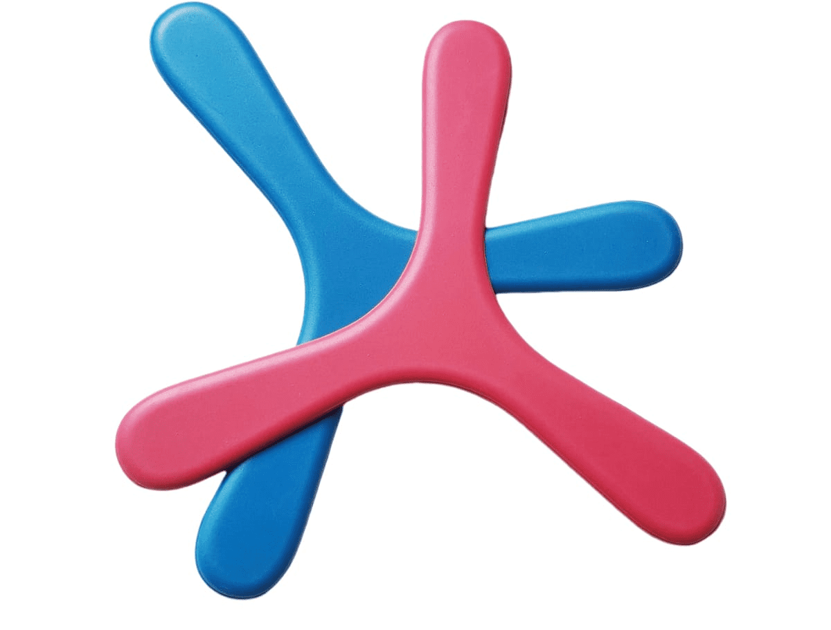 Boomerang Toy