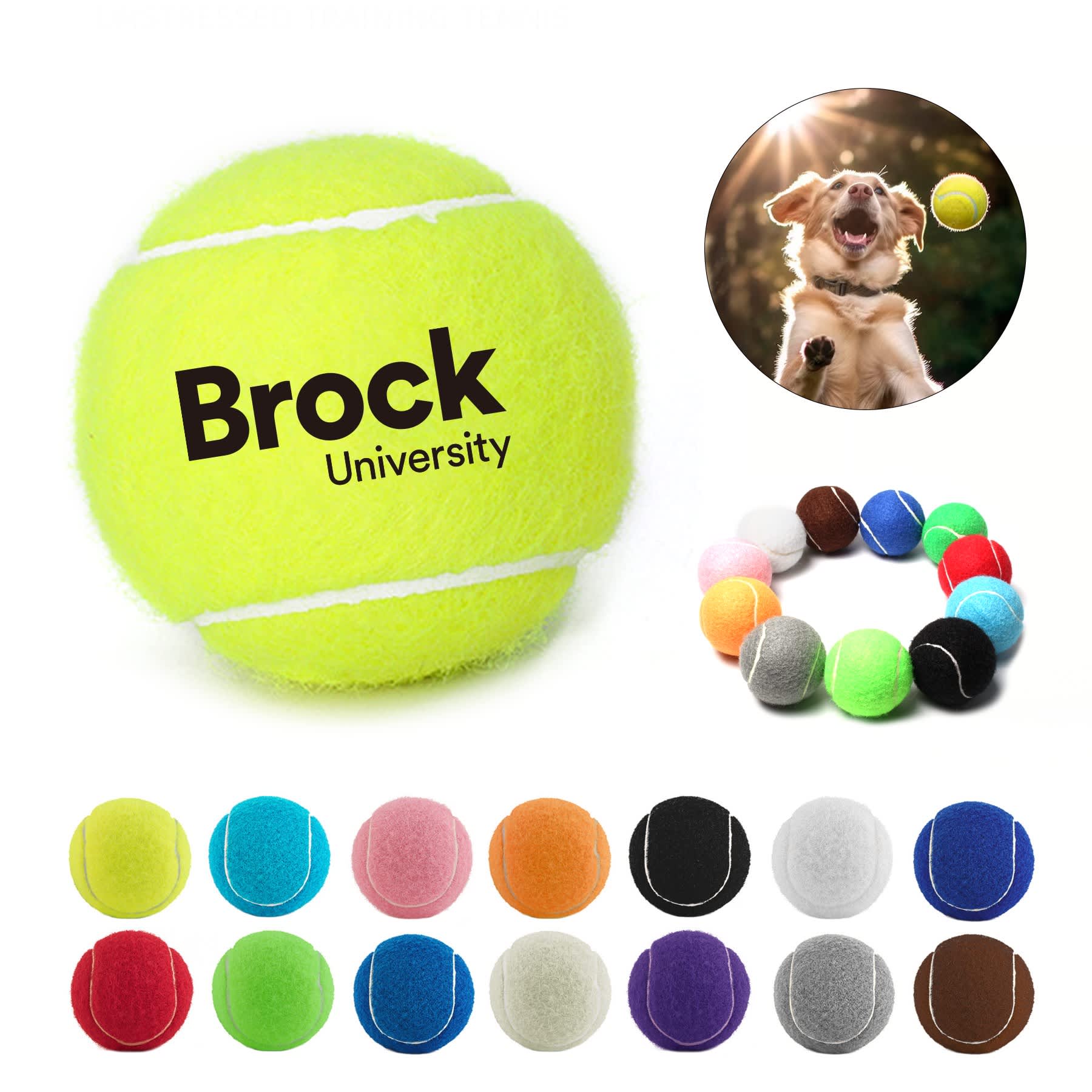 Pet Tennis Ball