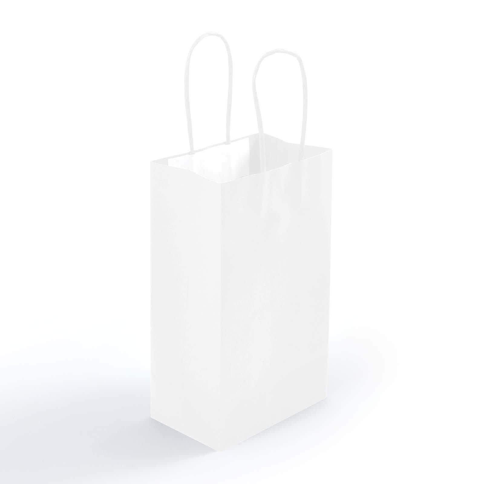 Express Paper Bag Small - image 4