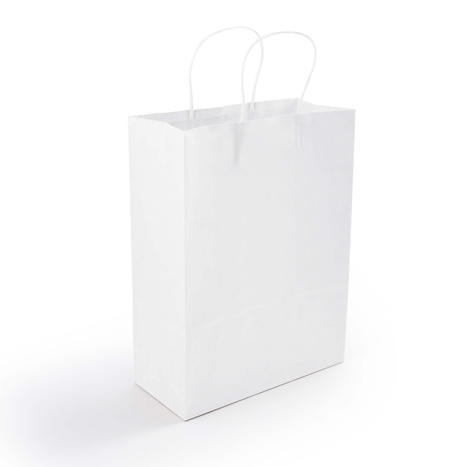 Express Paper Bag Medium - image 5