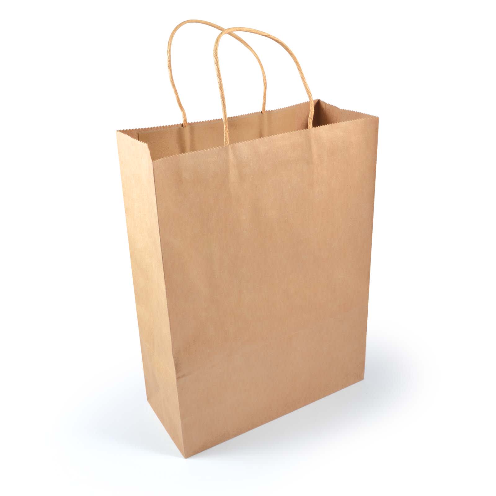Express Paper Bag Large - LL549 Image Natural