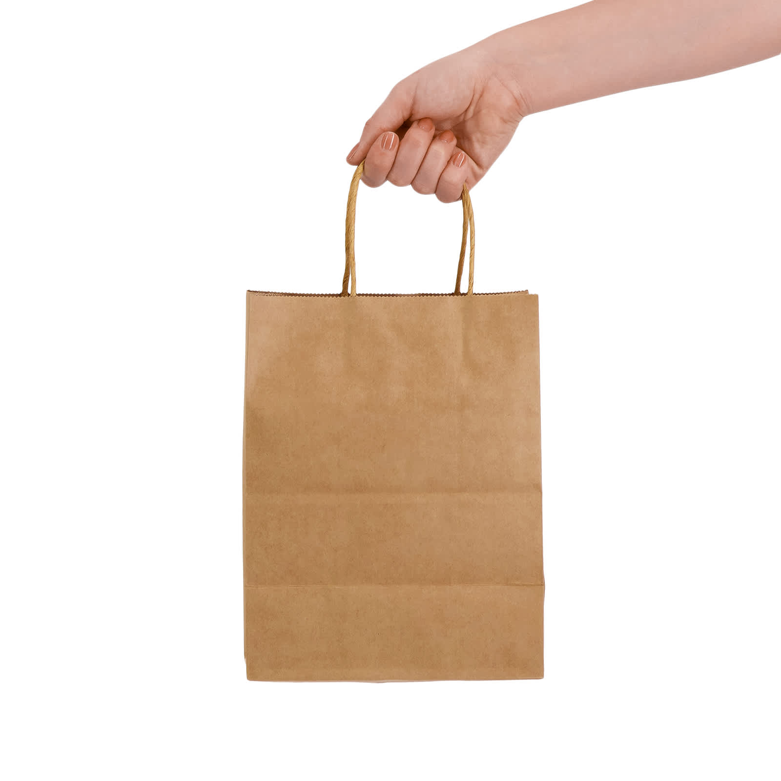 Express Paper Bag Medium - image 3