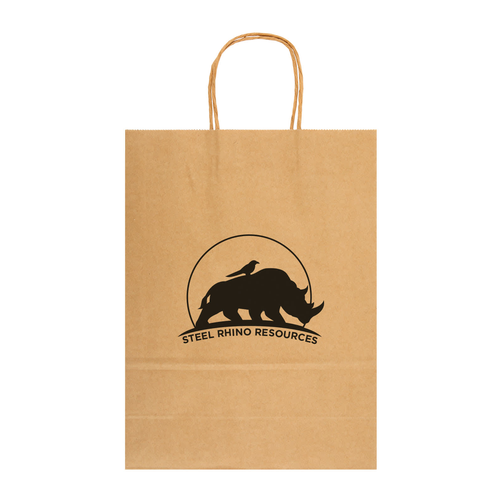 Express Paper Bag Large - image 2
