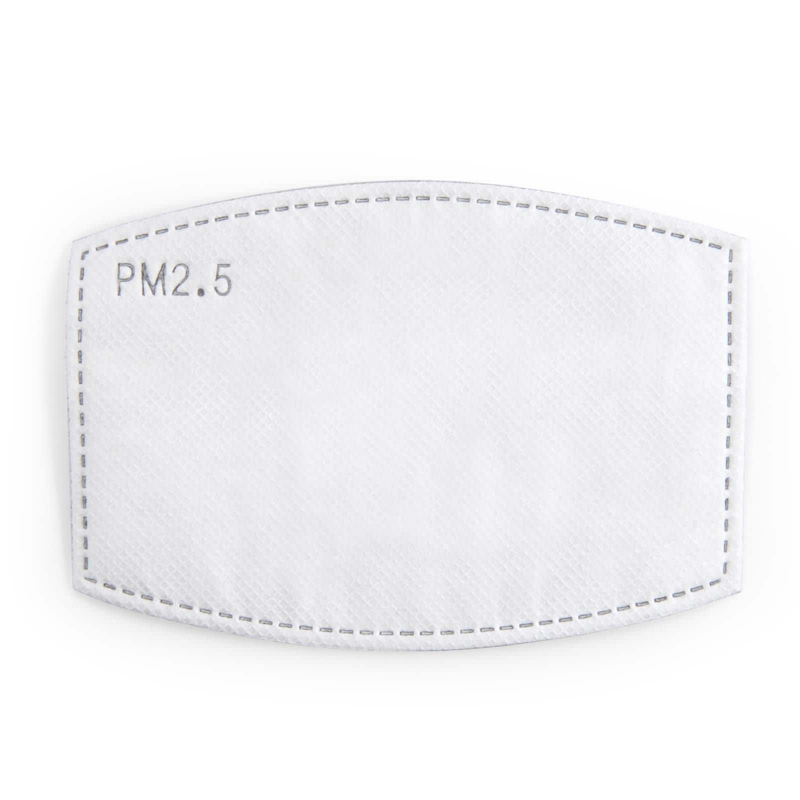 Face Mask Carbon Filter - image 1