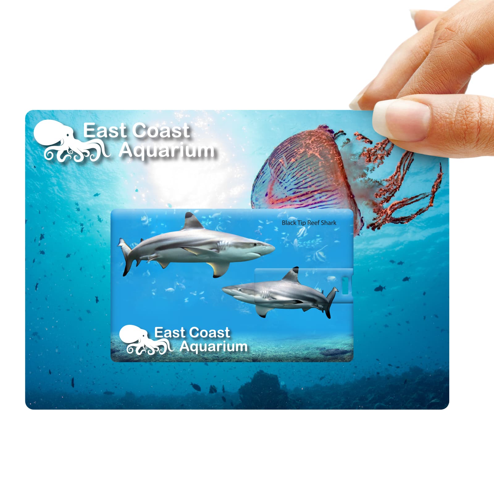 Credit Card Flash Drive - image 2