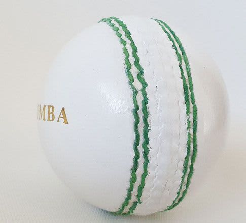 Leather Cricket Balls