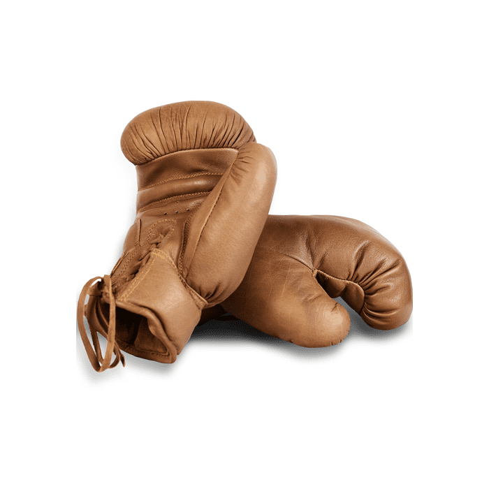 Vintage Leather Boxing Gloves