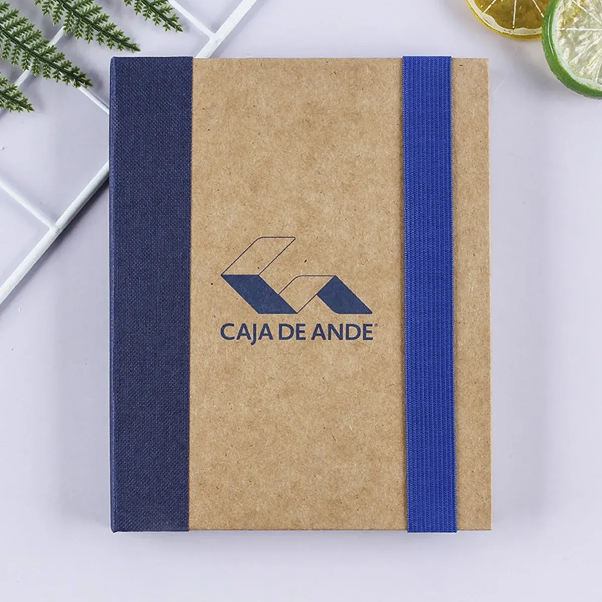 Kraft Notebook Sticky Set