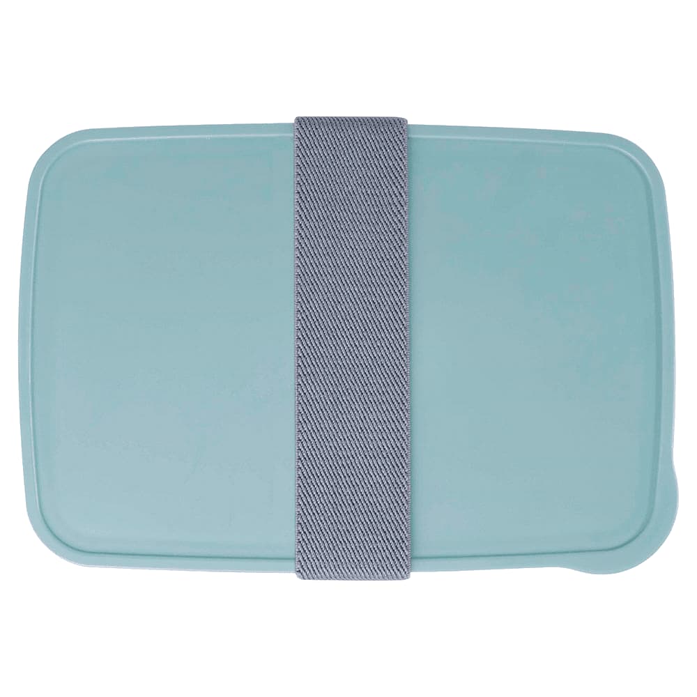 A teal lunch box with a grey strap, featuring a smooth surface and rounded edges. It includes a logo.
