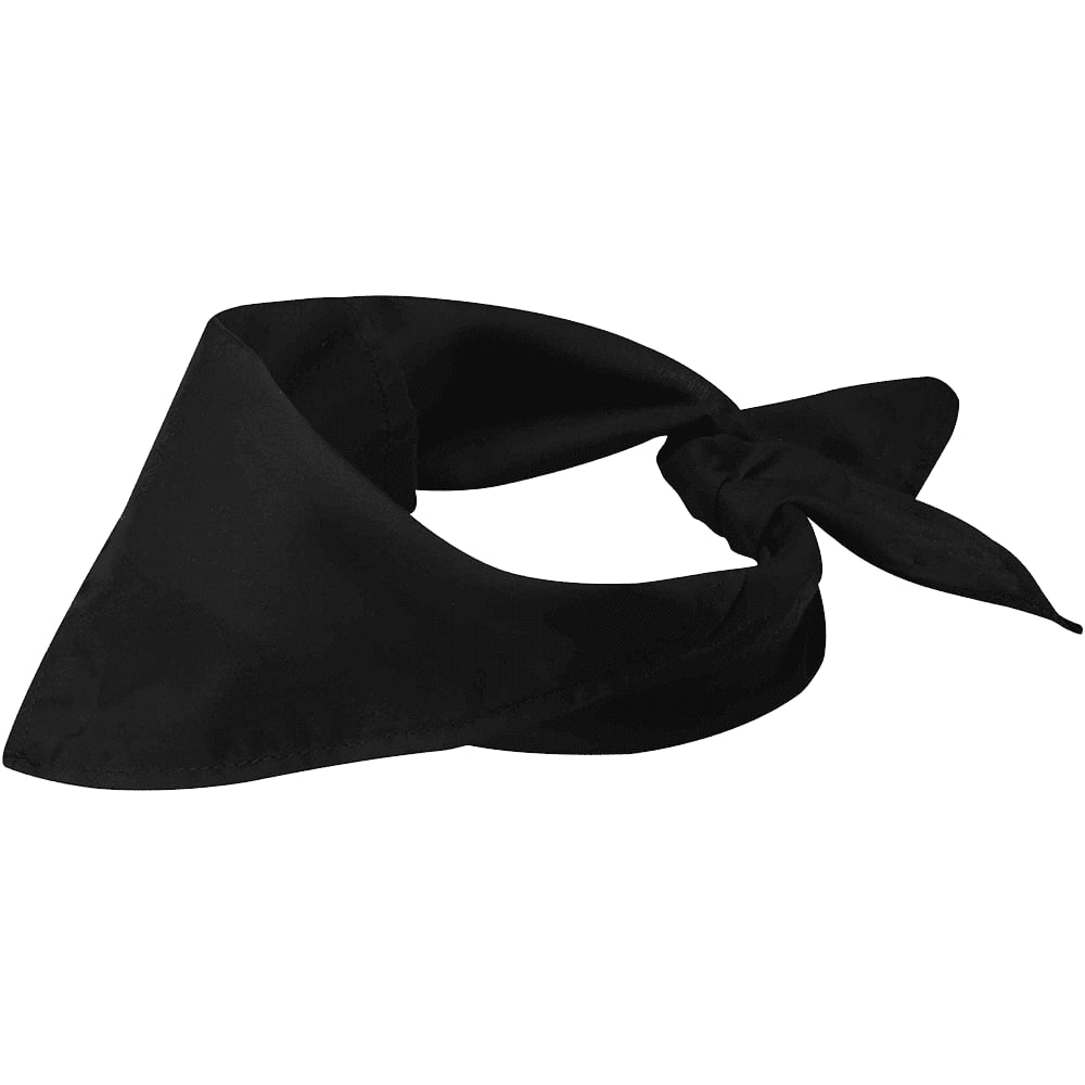 Alternative view of Heracles Bandana