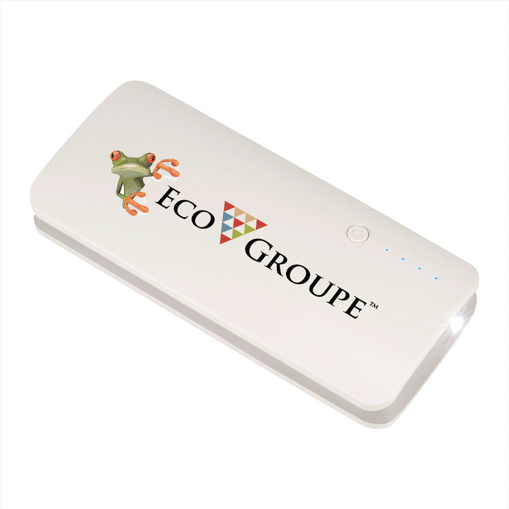 Spare 10000 mAh Power Bank