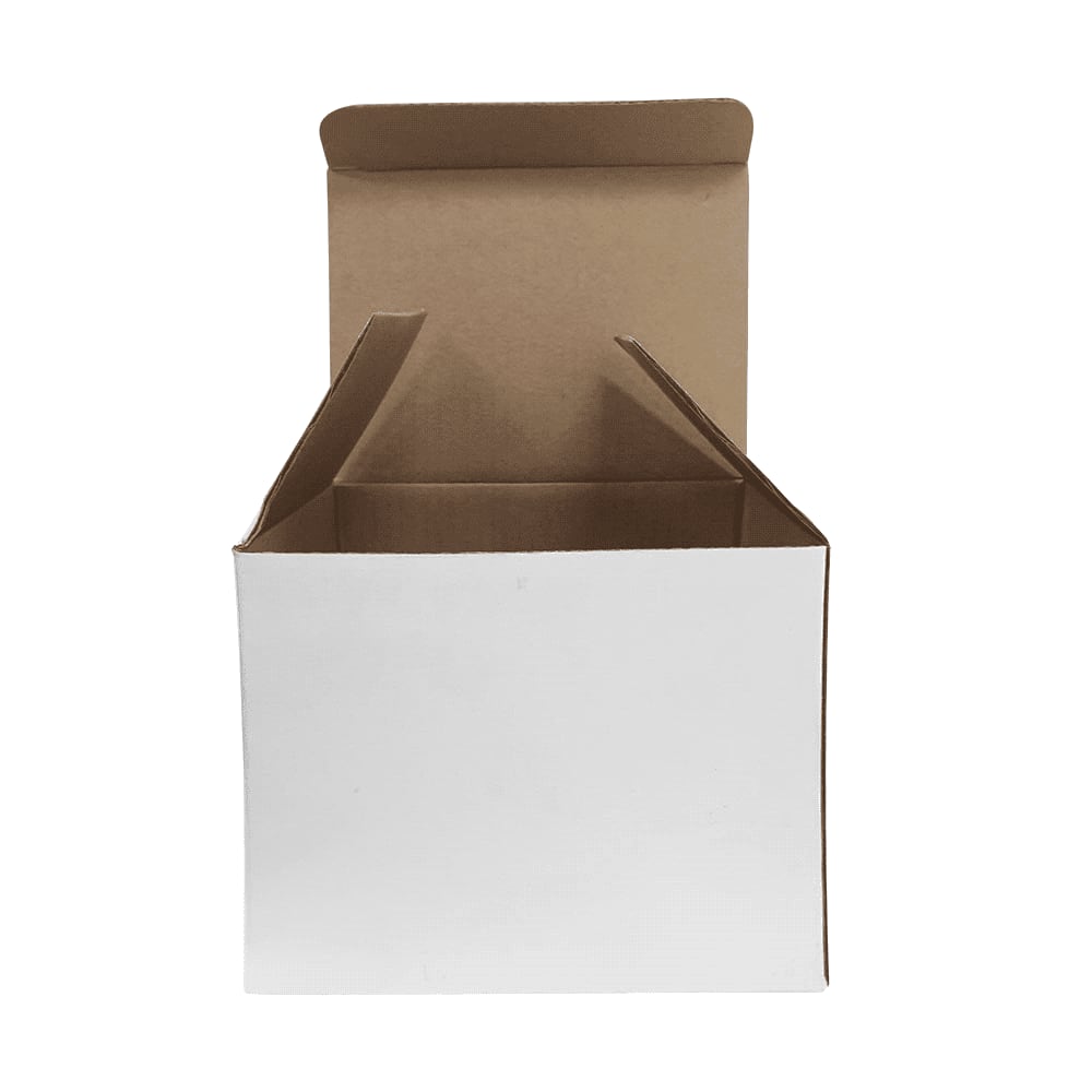 Single Cup Folded Box White 900531 | 