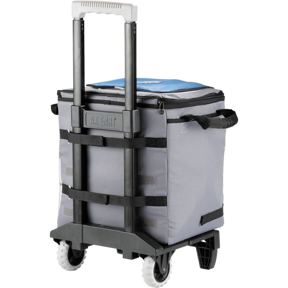 Arctic Zone® 50 Can Cooler 38L - AZ1003 Image