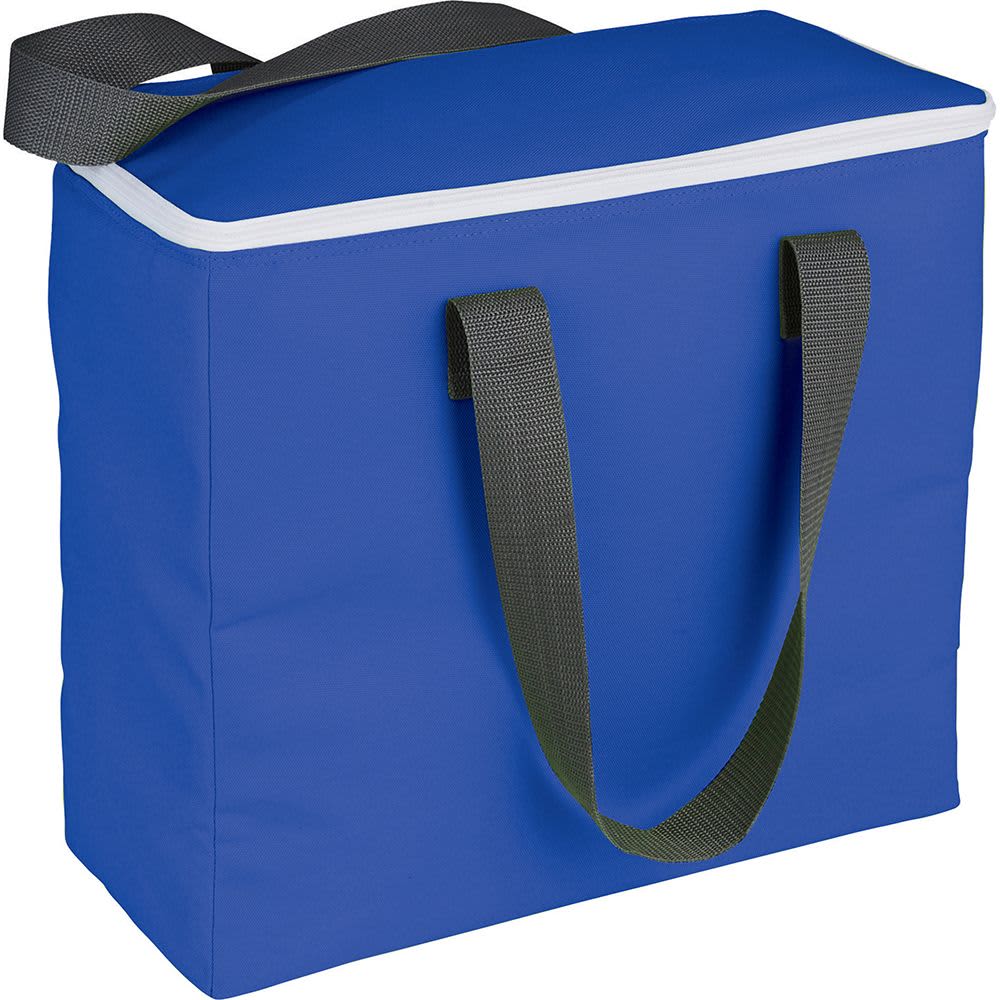 Arctic Zone® 30-Can Foldable Freezer Tote 18L - AZ1008 Image Blue