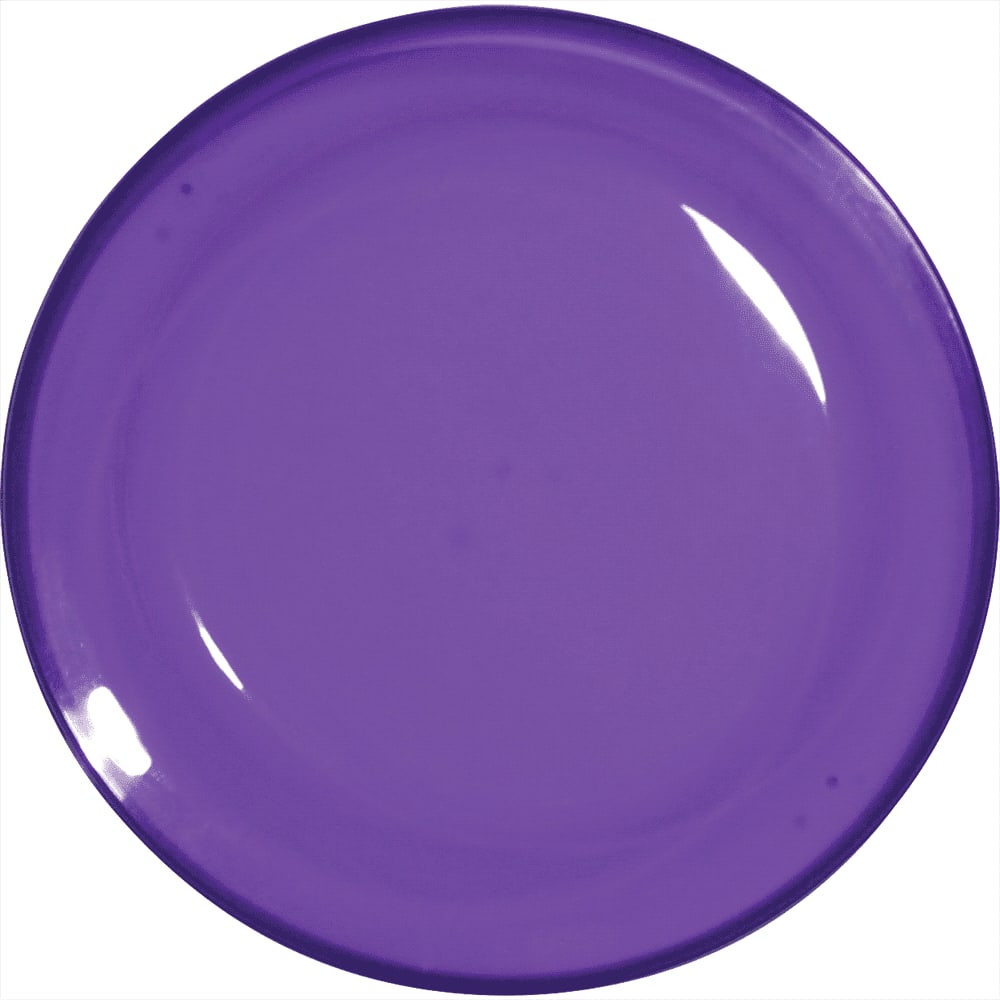 9-1/4 Inch Jewel Translucent Flyer