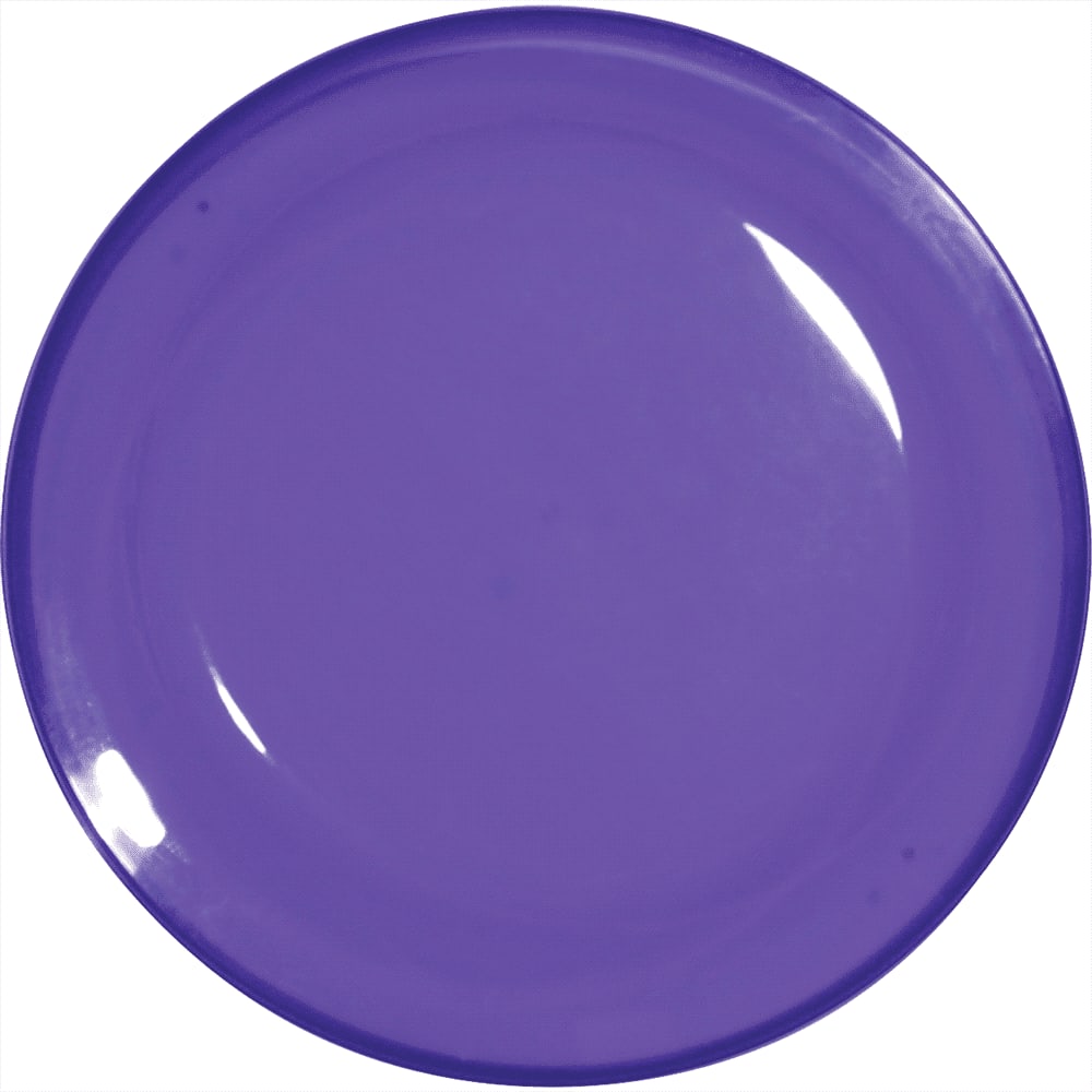 7-1/4 Inch Jewel Translucent Flyer
