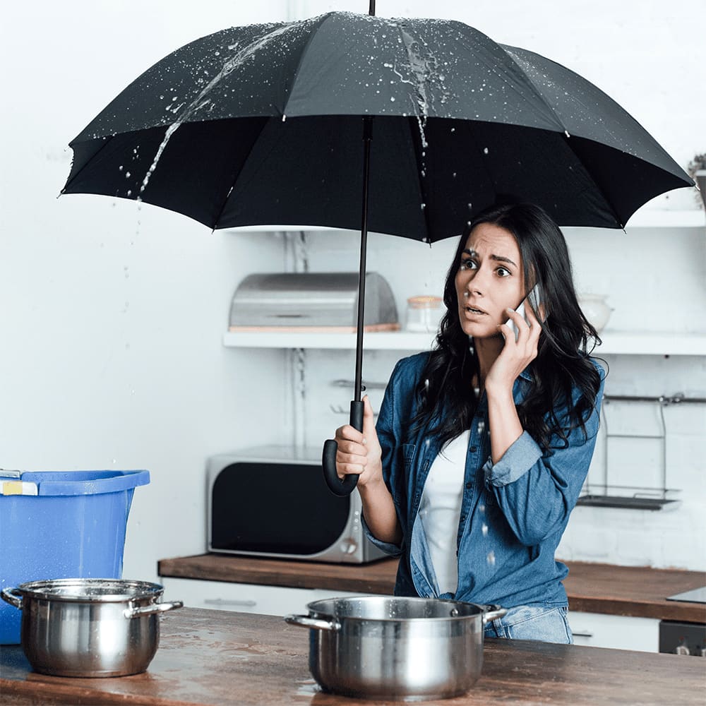 Auto Open Colourised Fashion Umbrella - image 2