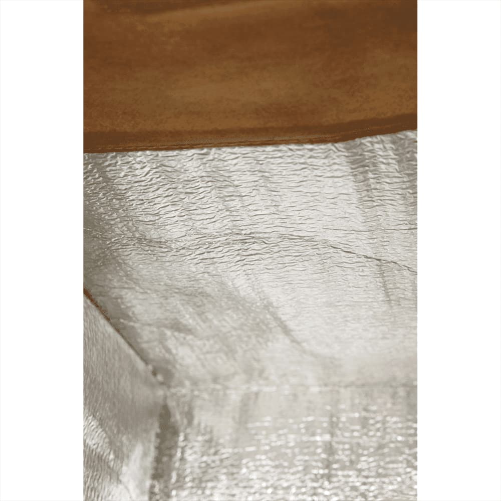 Paper Bag 12-Can Lunch Cooler