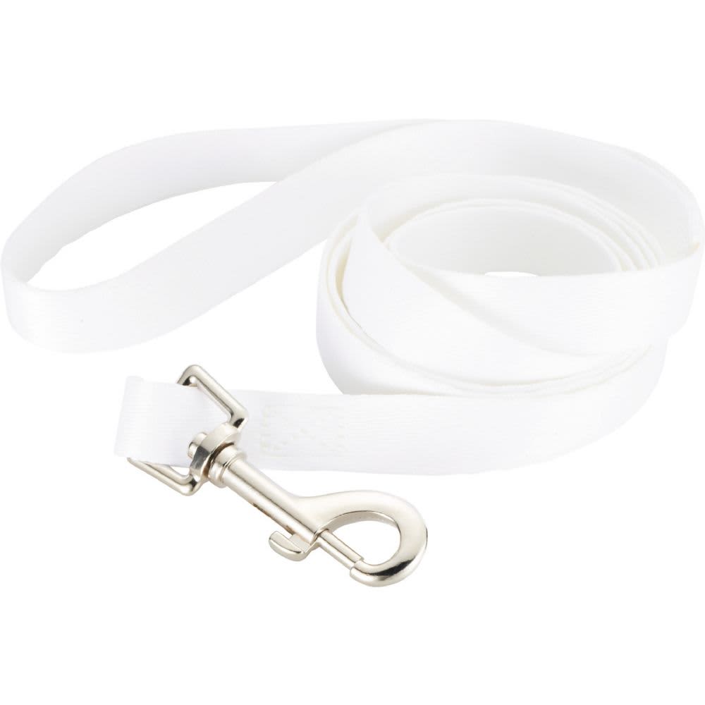 Pet Leash – 2cmW x 152cmL