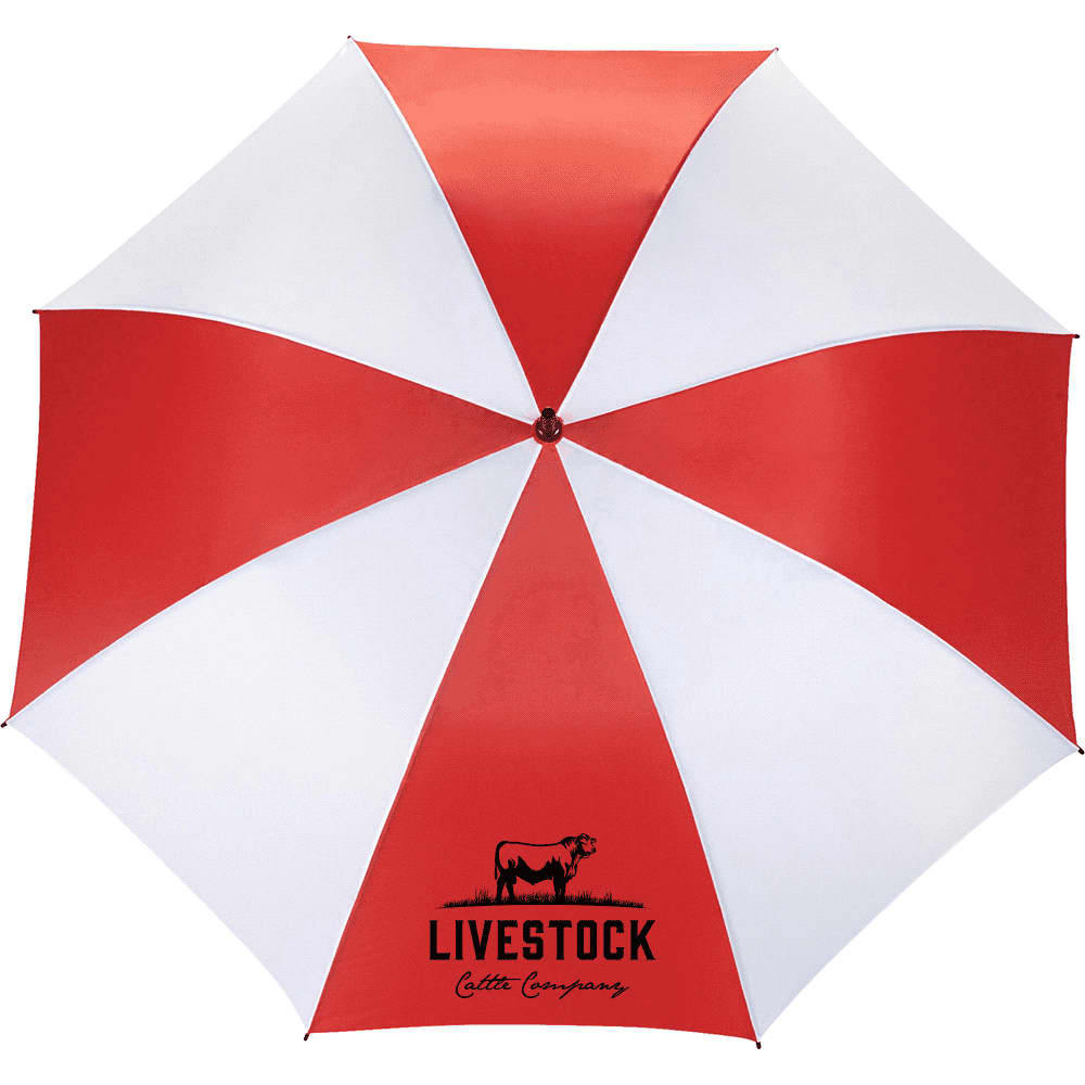 Ultra Value Auto Umbrella - image 3
