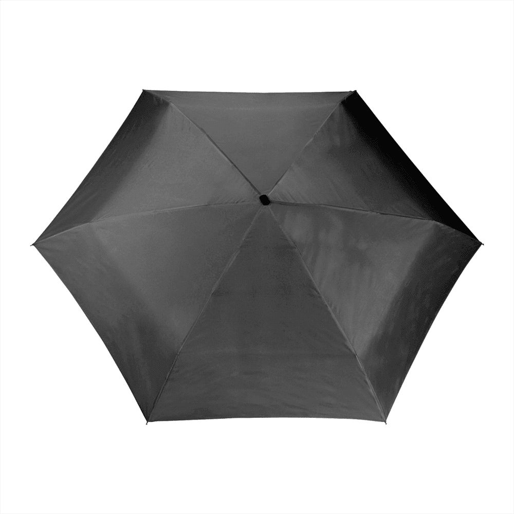 Mini Travel Umbrella in Case