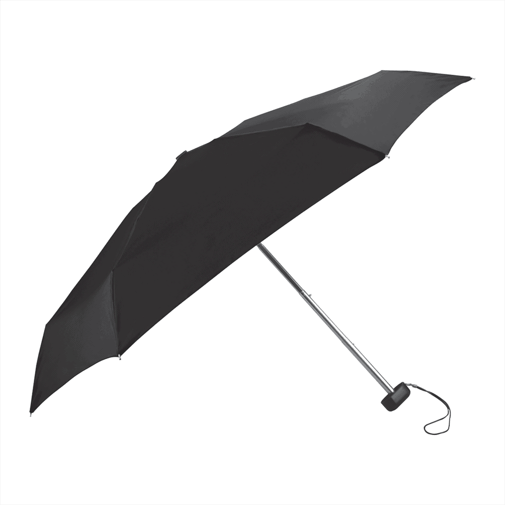 Mini Travel Umbrella in Case