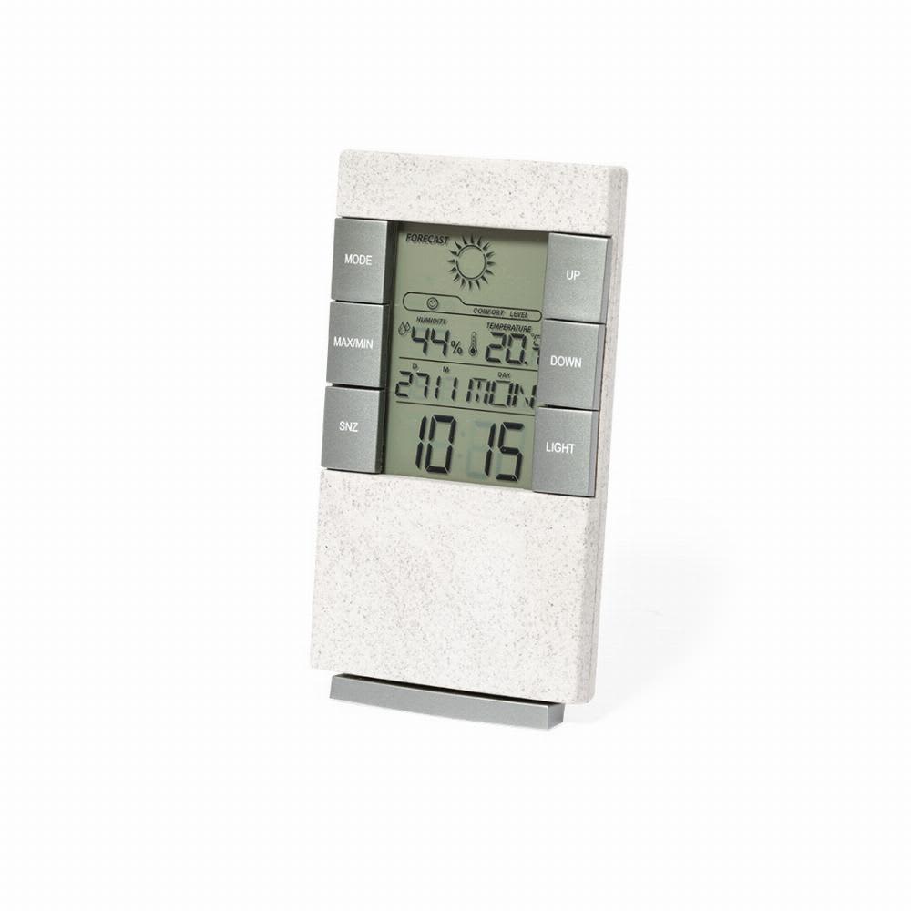 Weather Station - Maginly