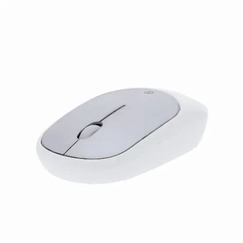 Doryt RCS