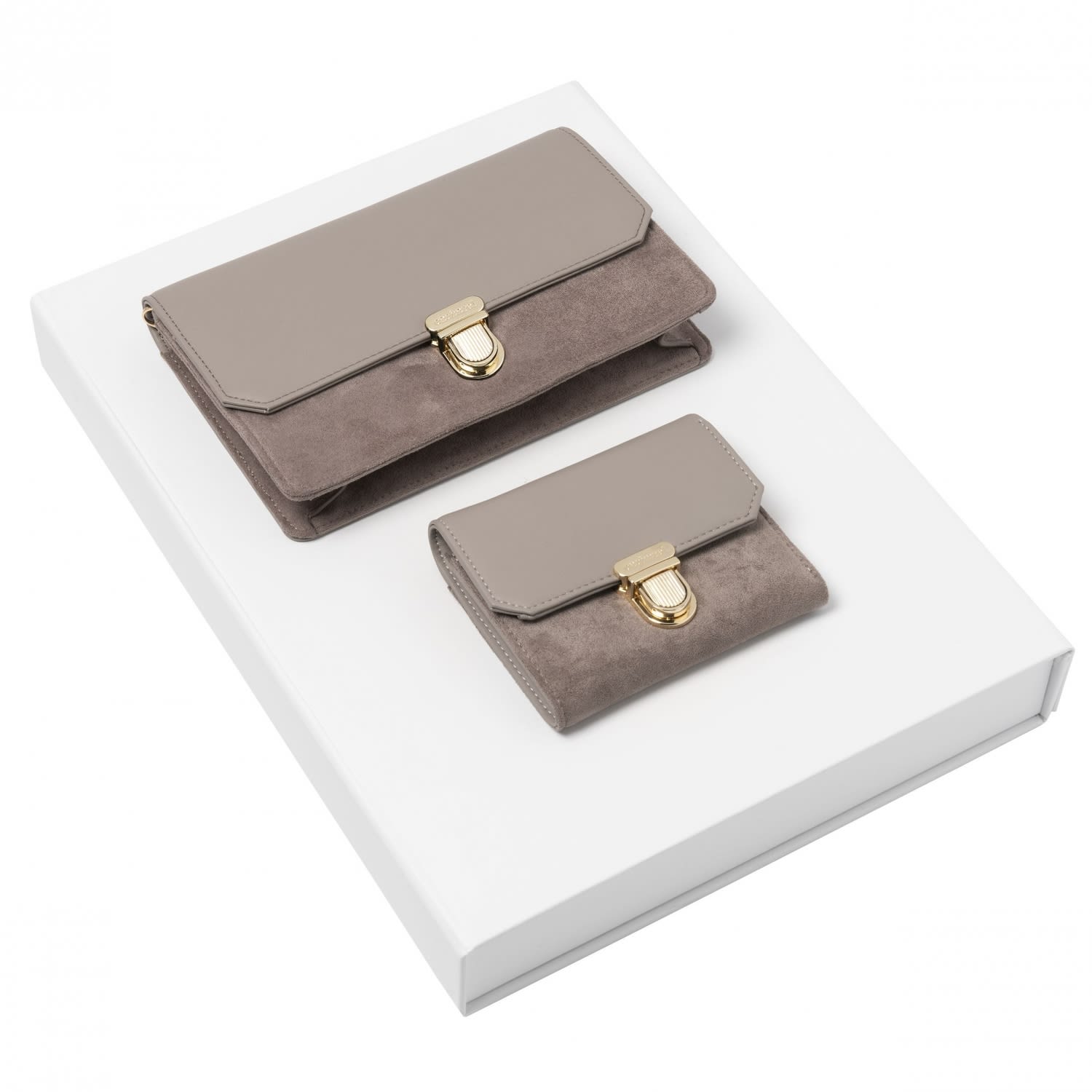 Set Montmartre Taupe (mini wallet & lady bag)