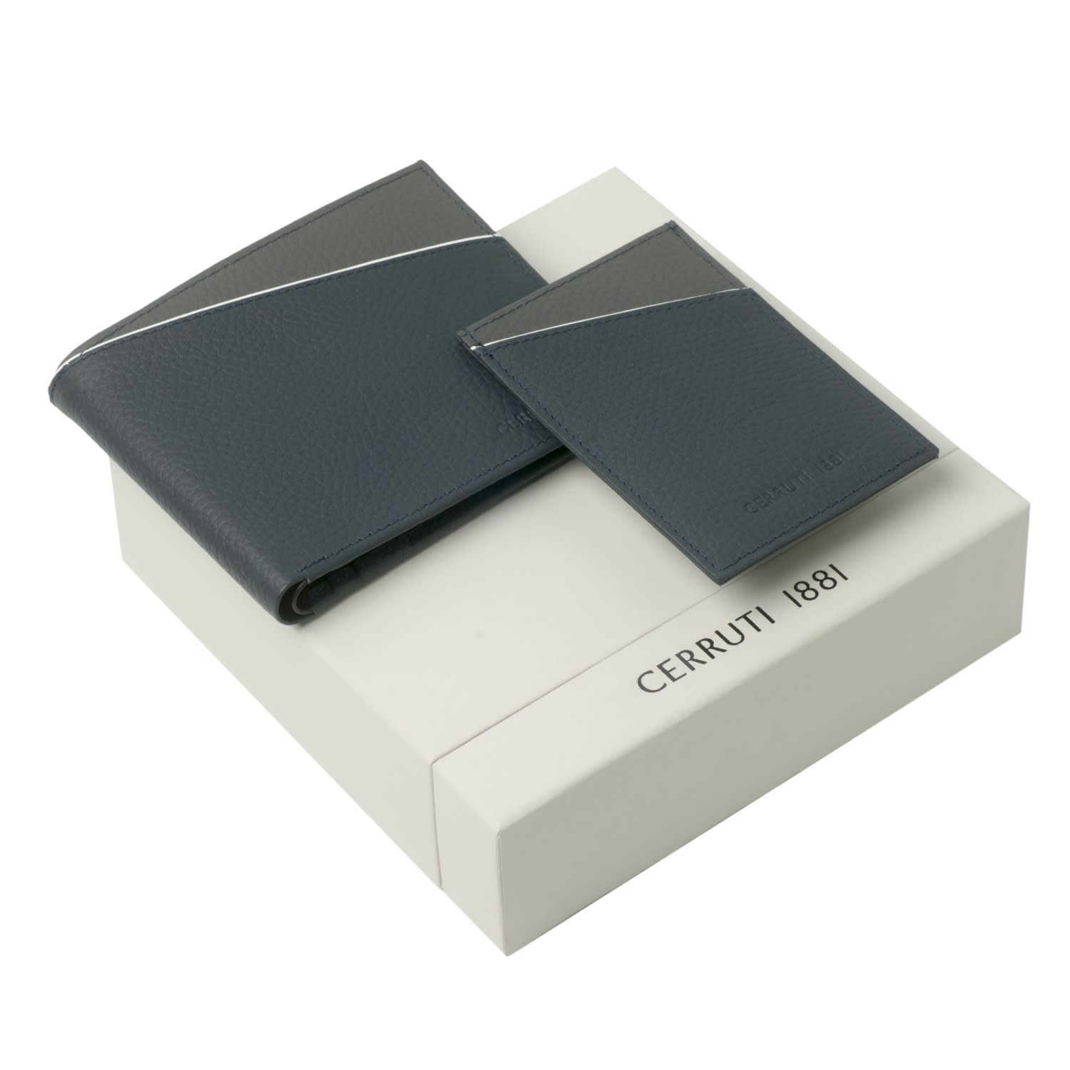 Set Spring Blue (card holder & money wallet)