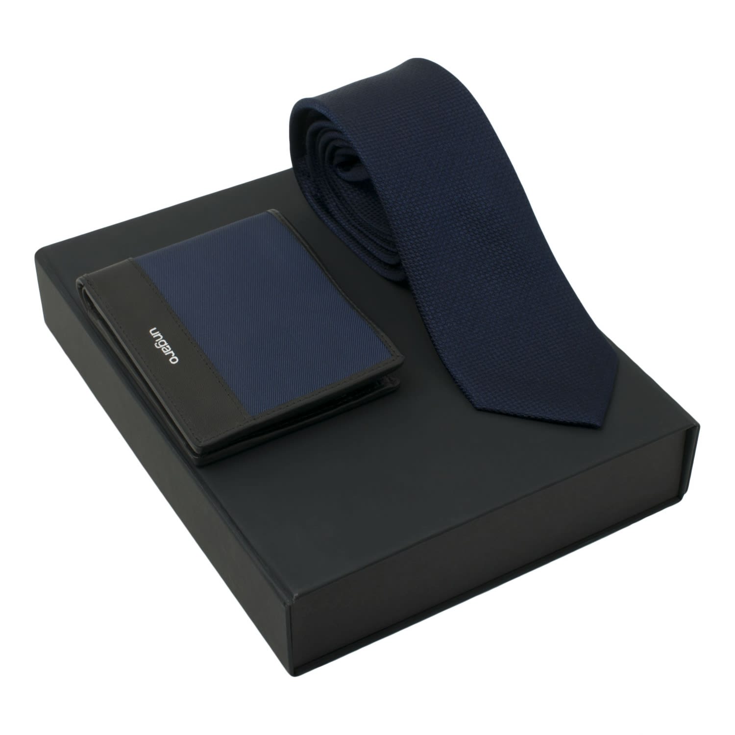 Set Uomo Blue (money wallet & silk tie)