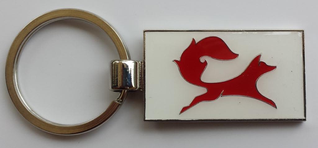 Soft Enamel Keyrings with epoxy