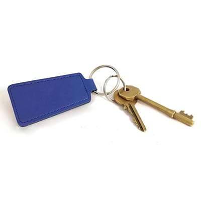 Vivid Trapeze Key Ring